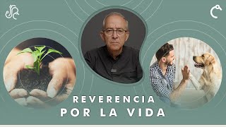 REVERENCIA POR LA VIDA - Consciencia