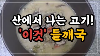 산에서나는 고기 ! 고사리들깨국  | 건강밥상 | 엄마의손맛