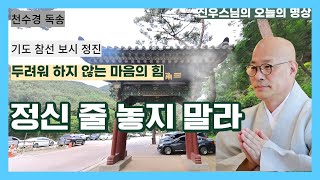 정신줄 놓지 말라 - 진우스님의 오늘의 명상