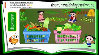 เสริมประสบการณ์สำคัญ เรื่อง ผักสดสะอาด #สื่อการสอนอนุบาล