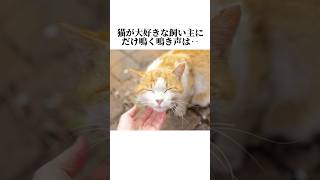 猫のあまり知られていない秘密が可愛いすぎる！【猫の雑学】猫の暴露7選😭#shorts #ねこのきもち #ねこ