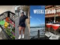 VLOG | spend the week with me, appointments, grocery & homeware hauls, errands & more!