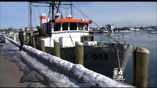 Frozen Waters Shut Down Ferry In Hingham