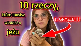 10 rzeczy, które musisz wiedzieć o jeżach *UGRYZŁA MNIE*