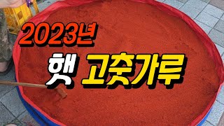 친환경 유기농법으로 재배하는 고추 | 고춧가루