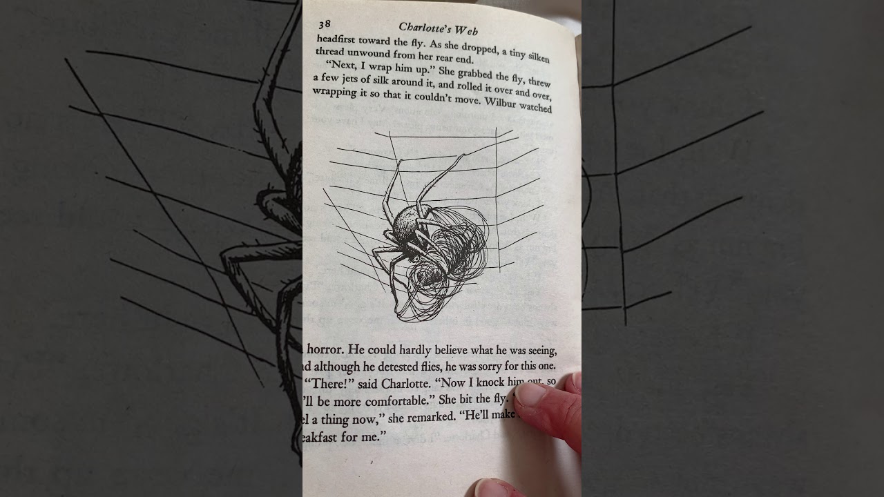 Charlotte S Web Chapter 5 Youtube