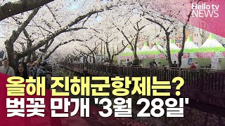 진해군항제, 벚꽃 만개하는 3월 28일 개막ㅣ#헬로tv뉴스