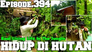 WIRTA KUNIL KUNIL KUNJUNGI PONDOK PENUH BERKAH DAN MELIHAT KONDISI KEBUN | HIDUP DI HUTAN Eps.394