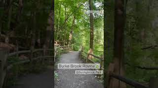 Burke Brook Ravine 🍃@Sunnybrook Park Toronto #Shorts🍁