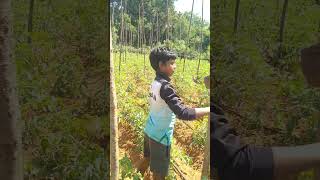 ஒரு சிறுவன் பேச்சு #agriculture #trending #shortvideo