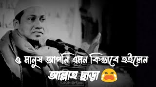 ও মানুষ আপনি এমন কিভাবে হইলেন আল্লাহ ছাড়া 😭। আনিসুল রহমান আশরাফী। ওয়াজ। ২০২৪।