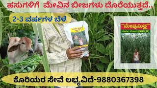 FODDER SEEDS karnataka- 9880367398 ಮೇವಿನ ಬೀಜಗಳು ದೊರೆಯುತ್ತದೆ..