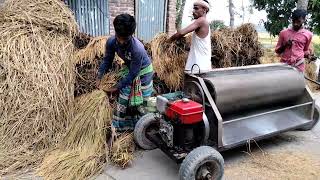 How to paddy threshing village people in Bangladesh. ধান মড়াই করা।