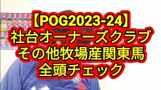 【POG2023-24】社台オーナーズその他牧場産関東馬全頭チェックPart1