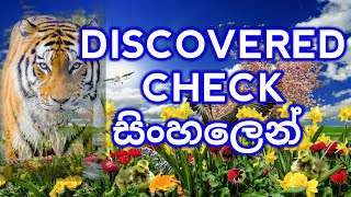 Chess Sinhala - The Discovered Check