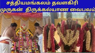 சத்தியமங்கலம் தவளகிரி முருகன் திருக்கல்யாண வைபவம்|| Sathyamangalam Thavalagiri Murugan Thirukalyanam