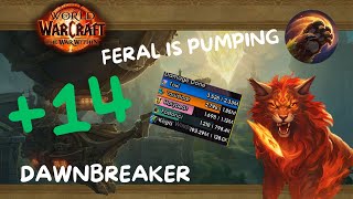 +14 Dawnbreaker - Druid Feral POV | TWW - Feral is pumping !