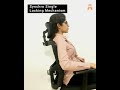 Cayman High Back Office Chair in India 2021 | Ergonomic chair Features  & adjustment Guide.