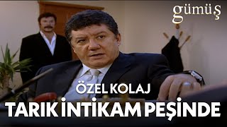 Şadoğlu Ailesinden Kovulan Tarık İntikam Peşinde! - Gümüş Özel Kolaj