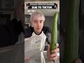 tiktok creates a cucumber crisis in iceland tiktok society humour