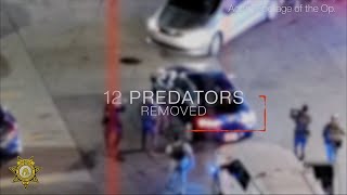 Undercover Child Predator Sting in Cherokee County