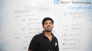 Polymorphism in Python | Python Tutorial For Beginners