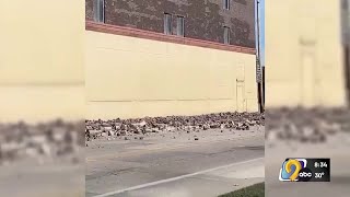 Video captures Fort Dodge building facade partially collapsing