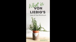 What is Von Liebig's Law of the Minimum and how does it affect the growth of ornamental plants?