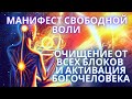 💥💫 МАНИФЕСТ СВОБОДНОЙ ВОЛИ ОЧИЩЕНИЕ ОТ ВСЕХ БЛОКОВ И АКТИВАЦИЯ БОГОЧЕЛОВЕКА / ВРАТА ЛЬВА / ЧЕННЕЛИНГ