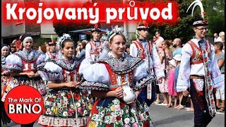 Krojovaný průvod - 20. Slovácký rok - 2019 Folklor tradice  Česká republika - Marek z Brna