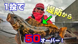 【1投必釣】堤防からワンキャストで50アップキャッチ！