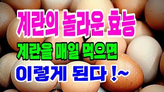 계란의 놀라운 비밀.계란을 매일 먹으면 이렇게 된다.