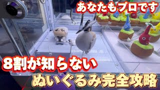 【クレーンゲーム】明日から使えるぬいぐるみ攻略！ブルーロックのちびぐるみ1万円だけで取ります