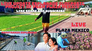 REXTV Adventure is live! Update MAESTRANZA ESPLANADE PLAZA MEXICO ano nangyari