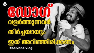 ഡോഗ് - വളർത്തുന്നവർ  ഇത്  തീർച്ചയായും അറിഞ്ഞിരിക്കണം