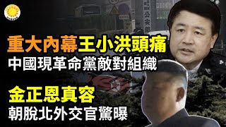 🔥重大內幕！王小洪親曝頭痛！中國驚現《中國民主革命黨》敵對組織💥金正恩真容！朝脫北外交官驚曝⚡突發！川普擬禁止中國買家購買美國農田✊國際峰會聚焦 法輪功揭中共迫害【阿波羅網CA】