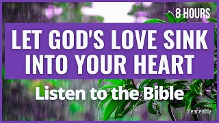 Sleep Better to Bible Scriptures on Love w/Rain | Love of Jesus | Looped (Audio Bible)