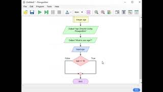 Age Checker Using Flowgorithm