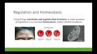 BIO 100 Chapter 1 - Introduction to Biology