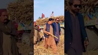 Visited Land at Nawabshah #viralvideo  #viralshorts #shorts Please Subscribe My Channel \u0026 Share