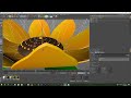 አደይ አበባ እንቁጣጣሽ በሲኒማ 4ዲ adey flower modeling in cinema 4d እንኳን አደረሳችሁ መልካም አዲስ ዓመት aschu graphics