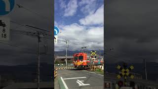 岳南電車の電鈴式踏切　#shorts