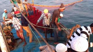 Fishing Boat Abdul hai