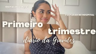 MEU PRIMEIRO TRIMESTRE DE GESTAÇÃO- MUDANÇAS, MEDOS, CURIOSIDADES - DIÁRIO DA GRAVIDEZ