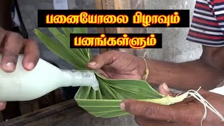 யாழ்ப்பாணத்தில் அமைந்துள்ள ஒரு பாரம்பரிய கள்ளுத்தவறணை. The Traditional Toddy Shop in Jaffna.# toddy1