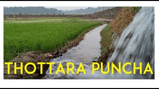 Thottara Puncha | Scenic place in Ernakulam- Kottayam route| Near Kanjiramattom