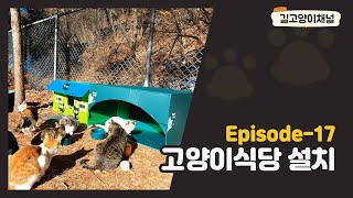 [에피소드 - 17] 길고양이식당 설치