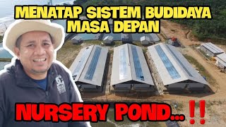 BUDIDAYA UDANG MENGGUNAKAN SISTEM NURSERY POND || MEMUTUS SIKLUS VIRUS DAN MASA BUDIDAYA