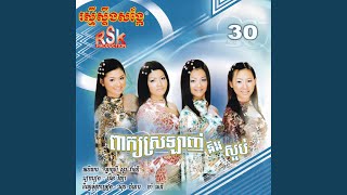 ប៊ិះស៊យ បូរ វិចិត្រ