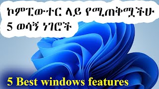 ኮምፒውተር ላይ የሚጠቅሟችሁ 5 ወሳኝ ነገሮች / Computer in Amharic